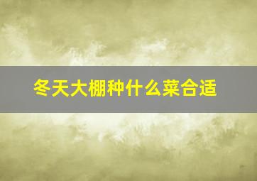 冬天大棚种什么菜合适