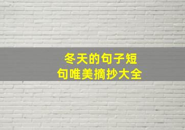 冬天的句子短句唯美摘抄大全