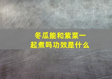 冬瓜能和紫菜一起煮吗功效是什么