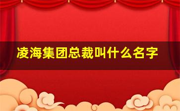 凌海集团总裁叫什么名字