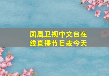 凤凰卫视中文台在线直播节目表今天