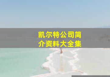 凯尔特公司简介资料大全集