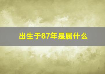 出生于87年是属什么