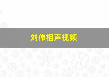 刘伟相声视频