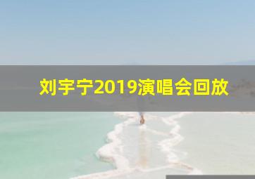 刘宇宁2019演唱会回放