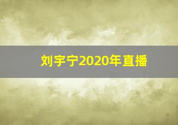 刘宇宁2020年直播