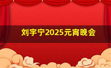 刘宇宁2025元宵晚会