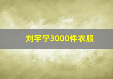 刘宇宁3000件衣服