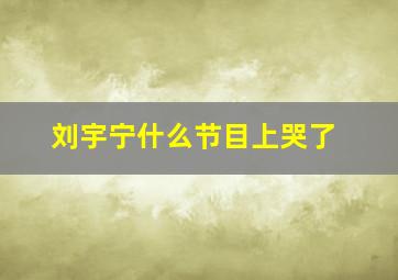 刘宇宁什么节目上哭了