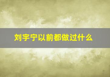 刘宇宁以前都做过什么