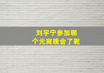 刘宇宁参加哪个元宵晚会了呢