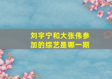 刘宇宁和大张伟参加的综艺是哪一期