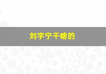 刘宇宁干啥的