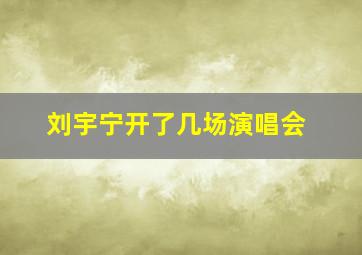 刘宇宁开了几场演唱会