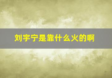 刘宇宁是靠什么火的啊