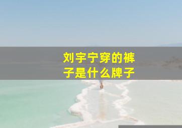 刘宇宁穿的裤子是什么牌子