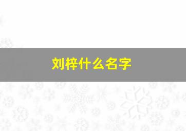 刘梓什么名字