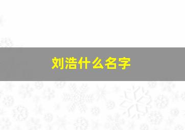 刘浩什么名字