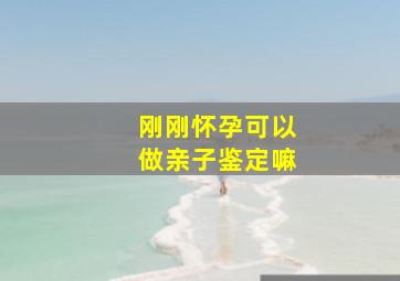 刚刚怀孕可以做亲子鉴定嘛