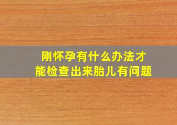 刚怀孕有什么办法才能检查出来胎儿有问题