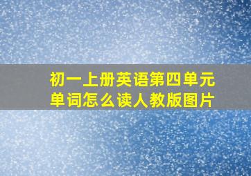 初一上册英语第四单元单词怎么读人教版图片