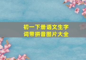 初一下册语文生字词带拼音图片大全