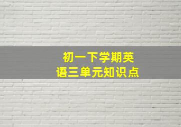 初一下学期英语三单元知识点