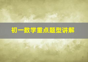 初一数学重点题型讲解