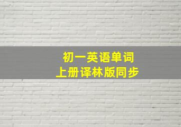 初一英语单词上册译林版同步