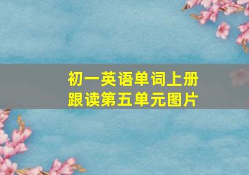 初一英语单词上册跟读第五单元图片