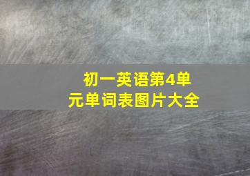 初一英语第4单元单词表图片大全