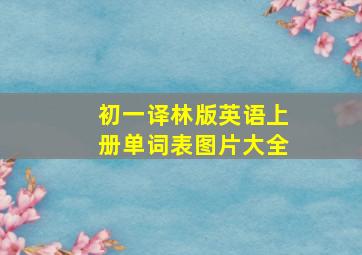 初一译林版英语上册单词表图片大全