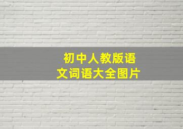 初中人教版语文词语大全图片