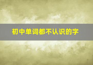 初中单词都不认识的字