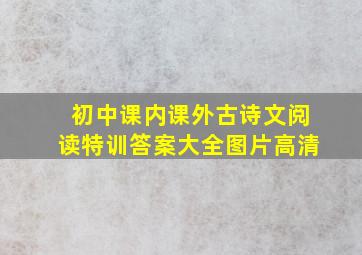 初中课内课外古诗文阅读特训答案大全图片高清