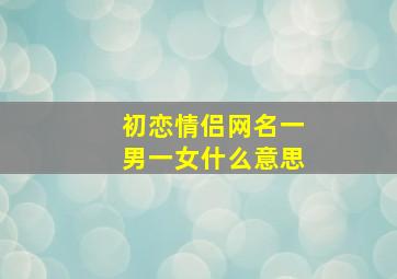 初恋情侣网名一男一女什么意思