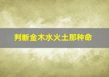 判断金木水火土那种命