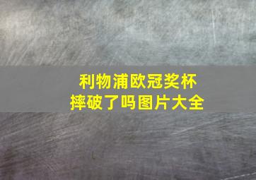 利物浦欧冠奖杯摔破了吗图片大全