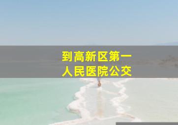 到高新区第一人民医院公交