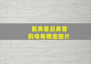 前鼻音后鼻音韵母有哪些图片