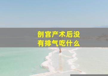 剖宫产术后没有排气吃什么