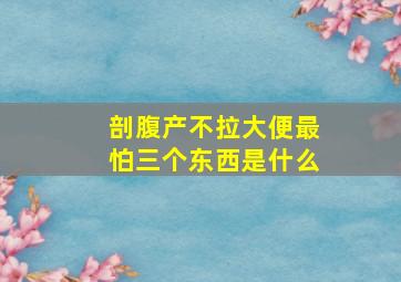 剖腹产不拉大便最怕三个东西是什么