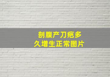 剖腹产刀疤多久增生正常图片