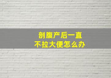 剖腹产后一直不拉大便怎么办