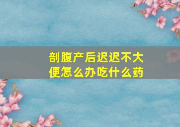 剖腹产后迟迟不大便怎么办吃什么药