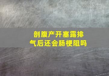 剖腹产开塞露排气后还会肠梗阻吗