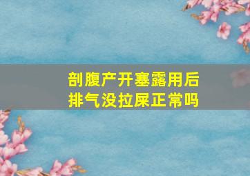 剖腹产开塞露用后排气没拉屎正常吗