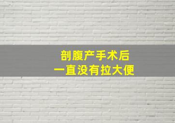 剖腹产手术后一直没有拉大便