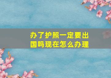 办了护照一定要出国吗现在怎么办理