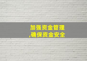 加强资金管理,确保资金安全